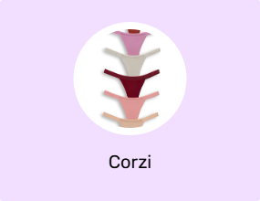 Corzi