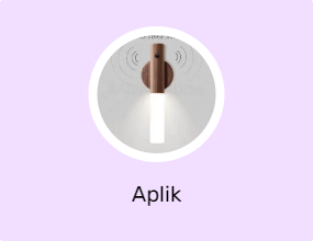 Aplik