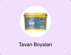 Tavan Boyaları