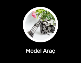 Model Araç