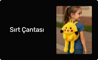 Sırt Çantası