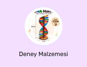 Deney Malzemesi