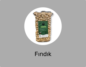 Fındık