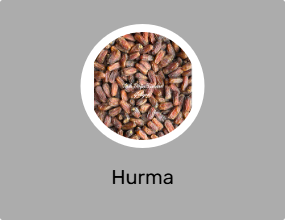 Hurma