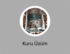 Kuru Üzüm