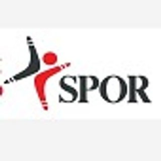 BUMERANGSPOR logo