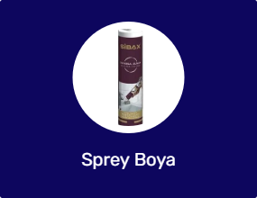 Sprey Boya