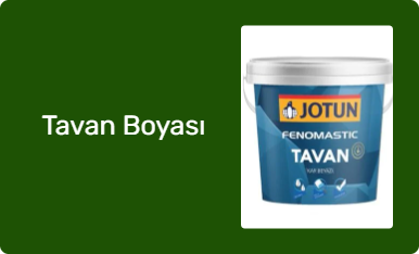 Tavan Boyası