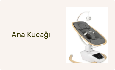 Ana Kucağı