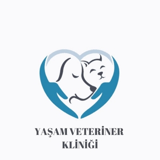 samet barış çelik