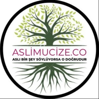 aslimucize.co logo