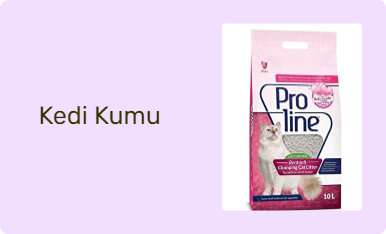 Kedi Kumu
