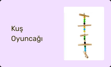 Kuş Oyuncağı