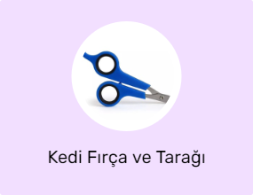 Kedi Fırça ve Tarağı