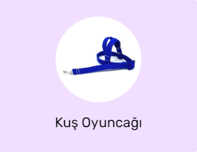 Kuş Oyuncağı