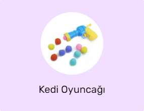 Kedi Oyuncağı