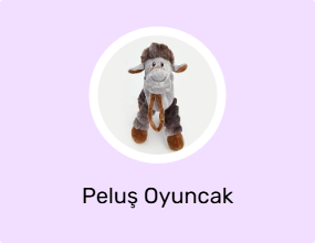 Peluş Oyuncak
