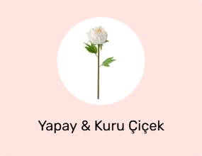 Yapay & Kuru Çiçek