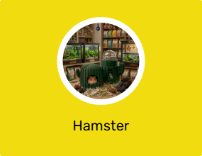 Hamster