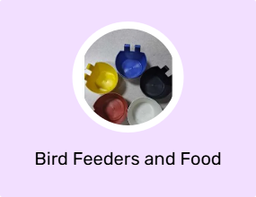 Bird Feeders and Food Boxes