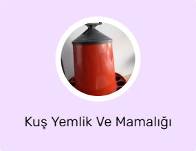 Kuş Yemlik Ve Mamalığı