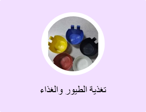 تغذية الطيور والغذاء