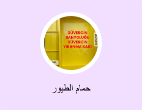 حمام الطيور