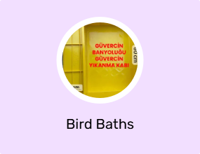 Bird Baths