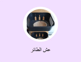 عش الطائر