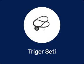 Triger Seti