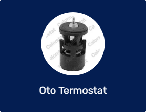 Oto Termostat