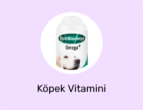 Köpek Vitamini