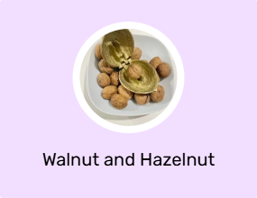 Walnut and Hazelnut Crusher