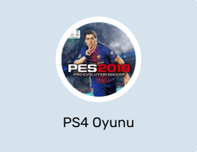 PS4 Oyunu