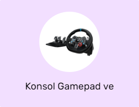Konsol Gamepad ve Joystick