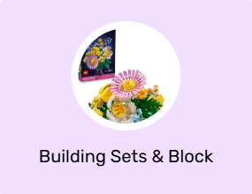 Building Sets & Block Toys