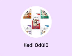 Kedi Ödülü