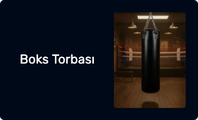 Boks Torbası