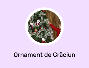 Ornament de Crăciun