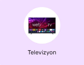 Televizyon