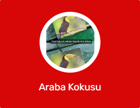 Araba Kokusu