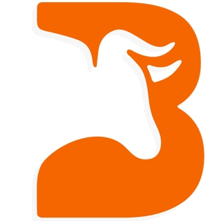 Bizondan