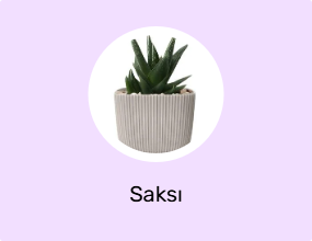 Saksı
