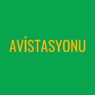 AVİSTASYONU logo
