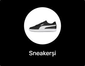 Sneakerși