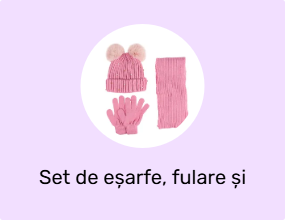 Set de eșarfe, fulare și mănuși
