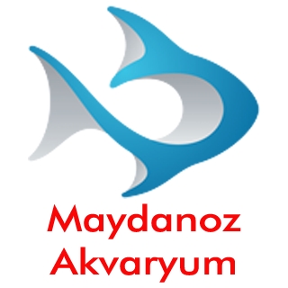 maydanozakvaryum logo