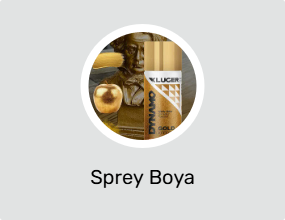 Sprey Boya