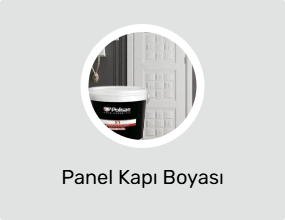 Panel Kapı Boyası