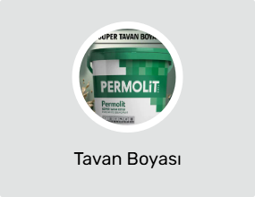 Tavan Boyası